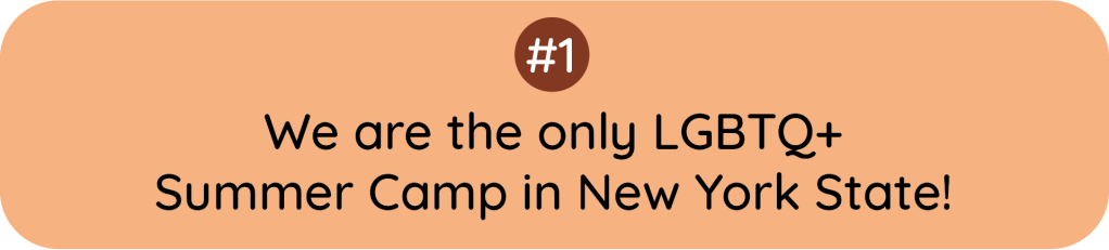 Number 1, we are the only LGBTQ+ Summer Camp in New York State